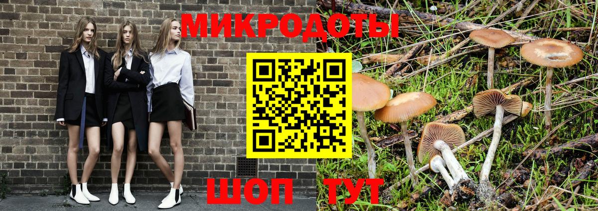Мариинск  Галлюциногенные грибы Cubensis  Вход с VPN 